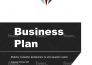 write a professional business plan for investors or loans