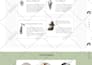 design coaching website, life coaching, career website, consultant, online coach