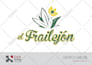design a professional logotype for your company