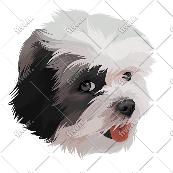 Make Dog Cat Pet Cartoon Portrait In 24 Hours By Panijardegra