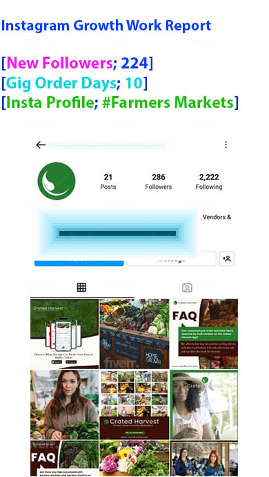 Instagram marketing and promotion to grow followers - Image 9