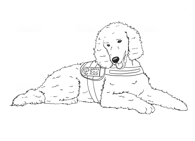 Draw Your Dog Or Cat Or Any Pets As A Cartoon Character By Sherazandra Our pet raincoat will keep your pet dry in wet weather and save you from the hassle of wet smell and extra coat maintenance from dogs. draw your dog or cat or any pets as a cartoon character