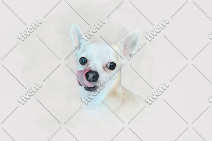 Draw Your Dog Cat Or Any Pet In My Realistic Cartoon Style By Dodicci Fiverr