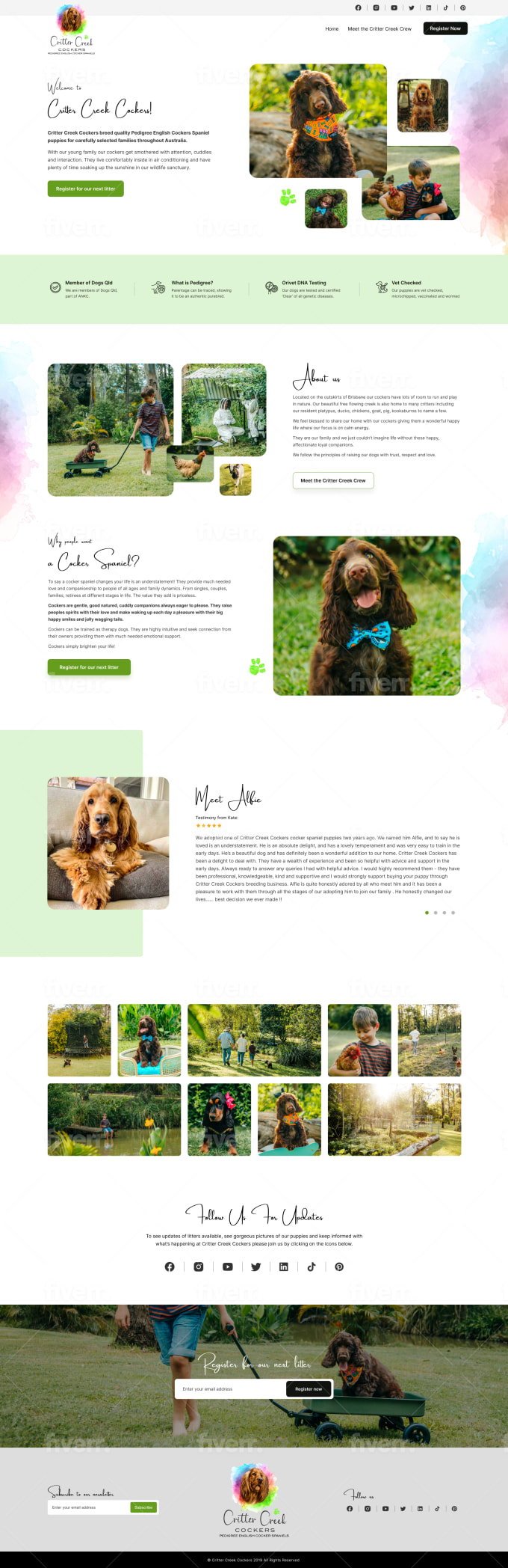 Design web UI UX , and website template in xd, PSD, figma - Image 8