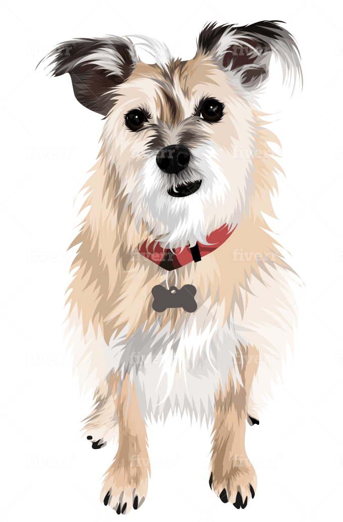 Do Dog Cat Pet Portrait Vector Illustration Cartoon Drawing By Abu Rn
