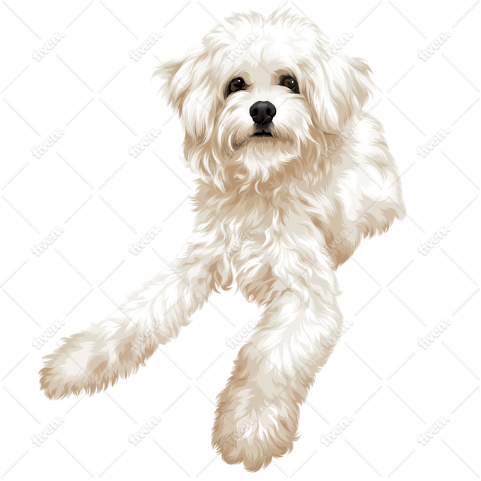 Draw High Quality Vector For Your Pet Or Any Animals By Antonkrisnan84