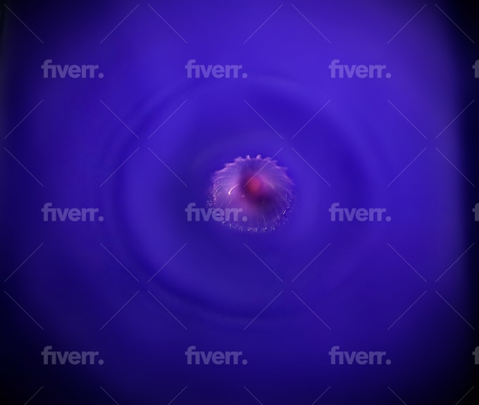 High end creative photo manipulation - Image 7