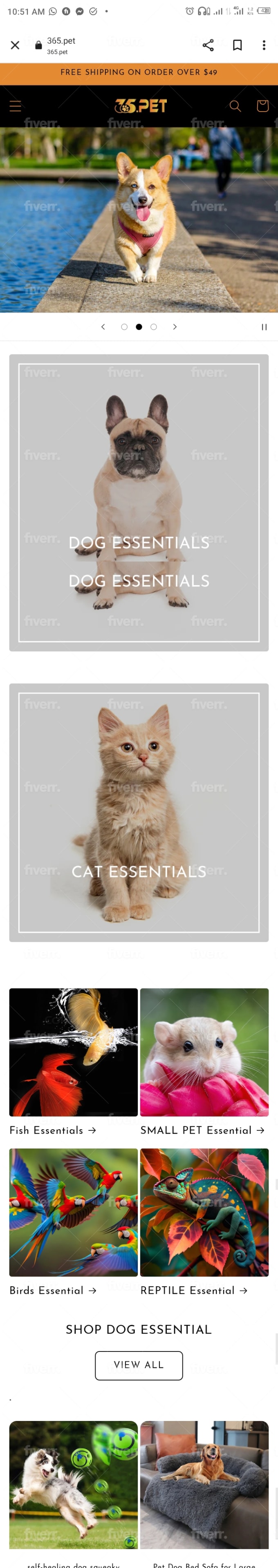 Cat shopify store sales