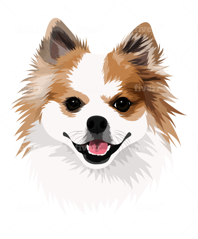 Do Dog Cat Pet Animal Portrait Drawing Vector Illustration By Abu Rn