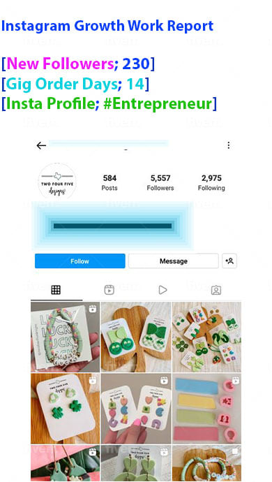 Instagram marketing and promotion to grow followers - Image 5