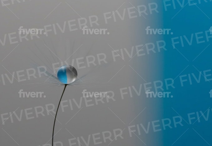High end creative photo manipulation - Image 8