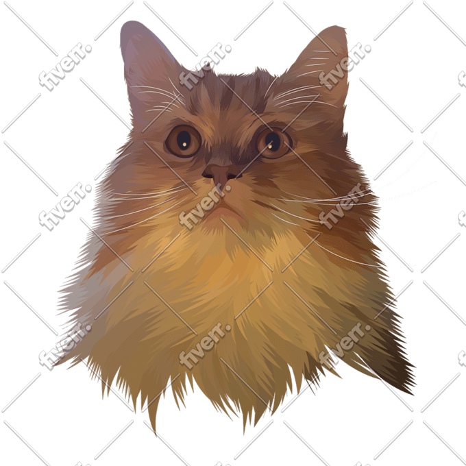 Make Amazing Realistic Vector Of Your Lovely Pets By Yboharjo