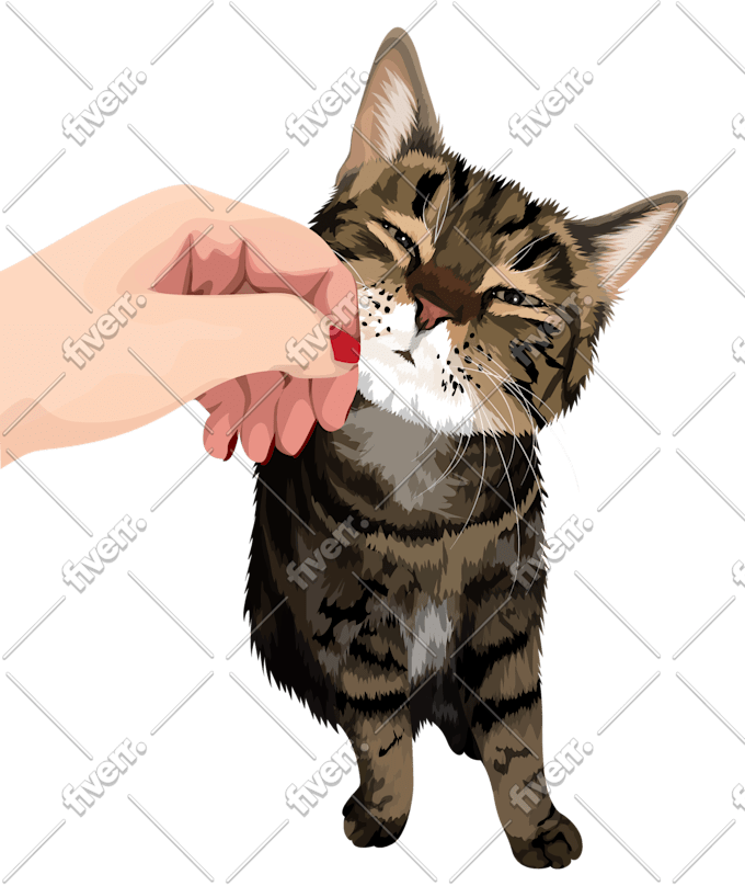Draw Your Dog Cat Pet Into Vector Art Cartoon By Abu Rn