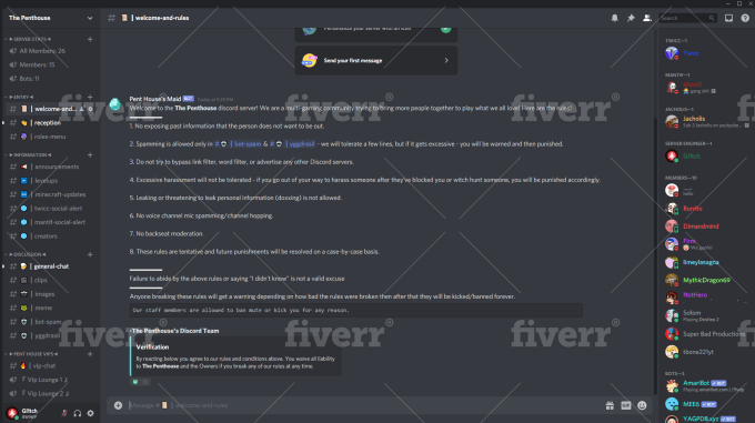 Professionally Setup Your Discord Server By Usamarashid2840