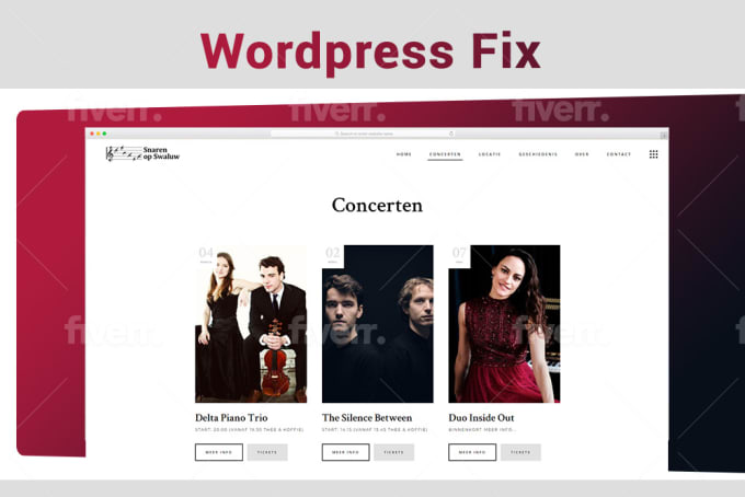 fix and customization wordpress website issue and errors