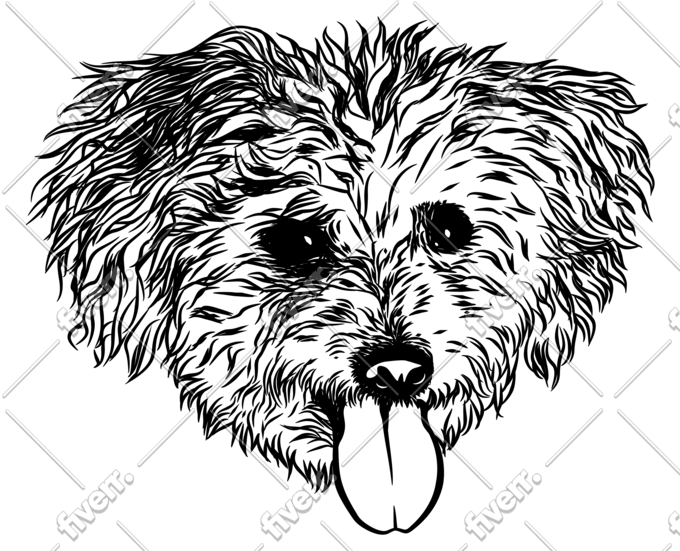 Draw Black And White Line Art Your Photo By Mag Food82