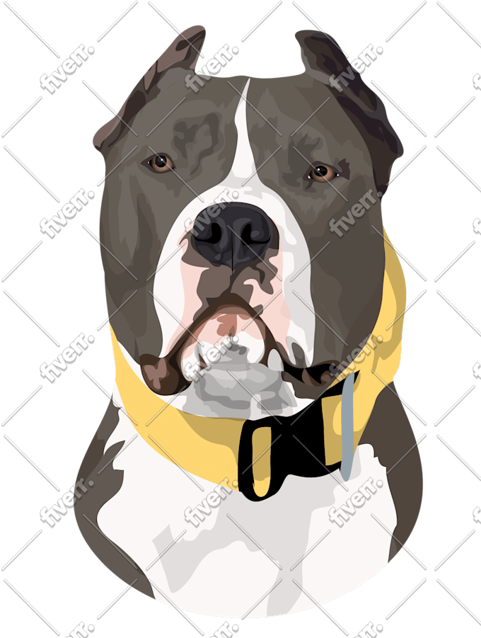 Do Dog Cat Pet Portrait Vector Illustration Cartoon Drawing By Abu Rn