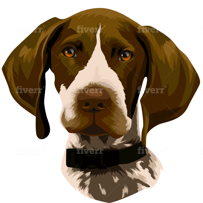 Draw Your Pet Into Vector Art Cartoon In 24 Hours By Danangbisma60