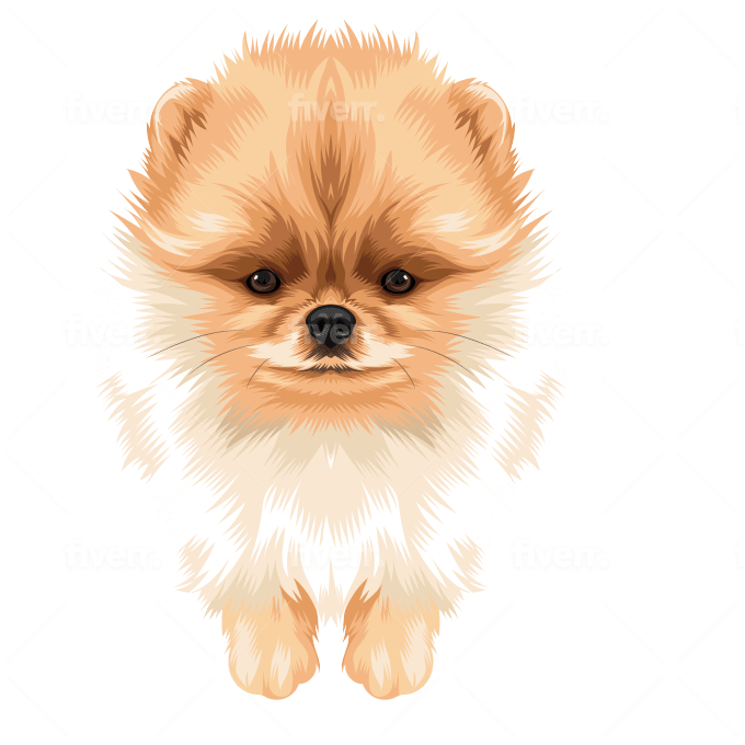 Draw Your Pets Into Cartoon Vector Art In 24 Hours By Emer Byhq