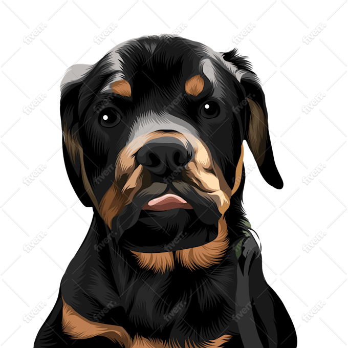 Draw High Quality Vector Art For Your Pet 12 Hours By Fahdoriaminnury