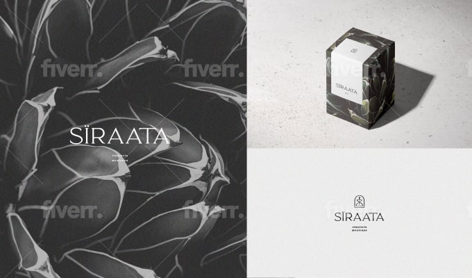 Creating a distinctive logo and brand identity - Image 5