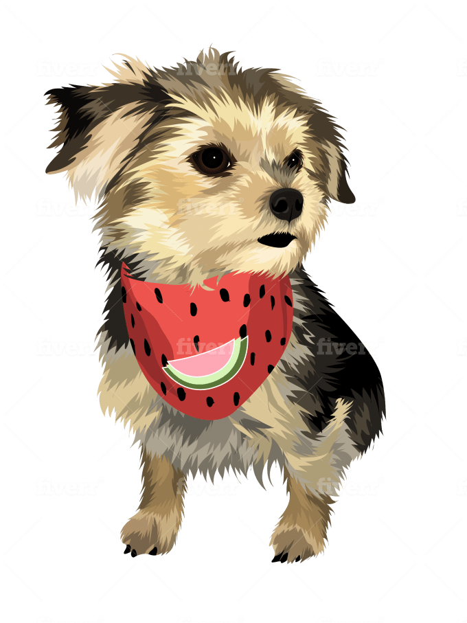Draw Your Dog Cat Pet Into Vector Art Cartoon By Abu Rn
