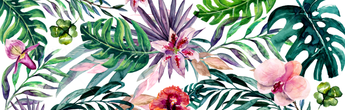 Paint A Watercolor Illustration By Shaykoo