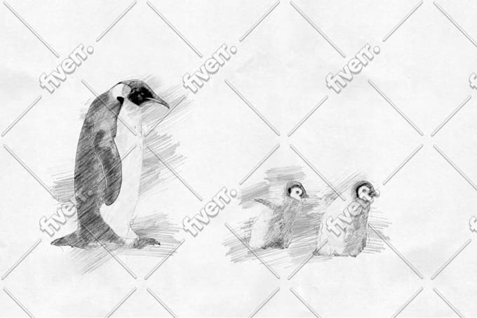 Draw A Beautiful Pencil Sketch Drawing From Your Photo By Techm8