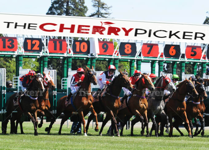 Put Your Text N Logo On A Horse Race Starting Gate By Annepaul Fiverr