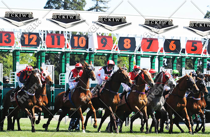 Put Your Text N Logo On A Horse Race Starting Gate By Annepaul Fiverr Put Your Text N Logo On A Horse Race Starting Gate By Annepaul Fiverr