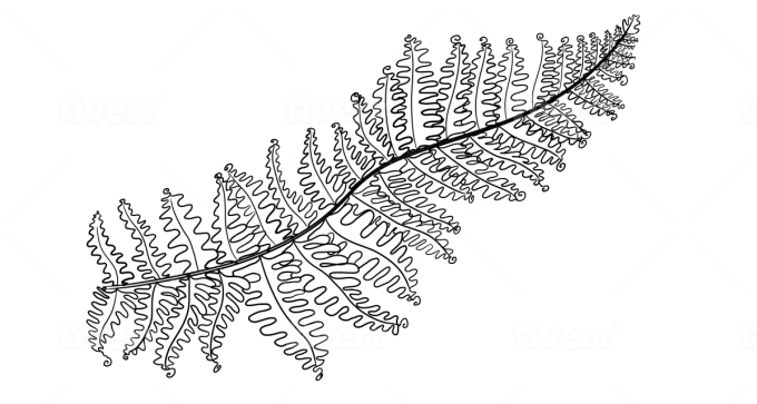 Fern Drawing Images – Browse 113,311 Stock Photos, Vectors, and Video |  Adobe Stock