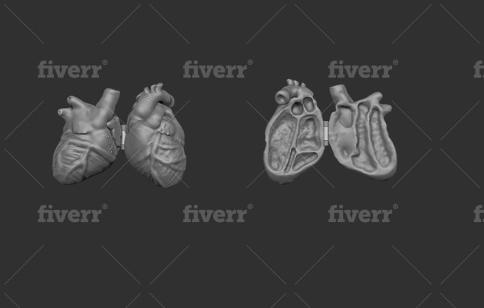 3d Design Jewelry Cad Model By Alexandertim