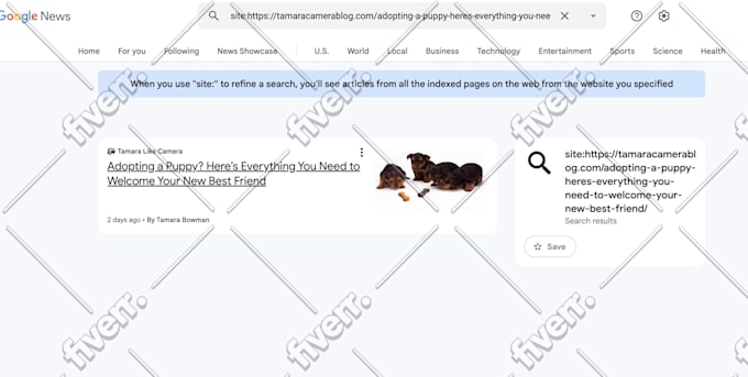 I will build a relevant and high da SEO backlink - Image 7