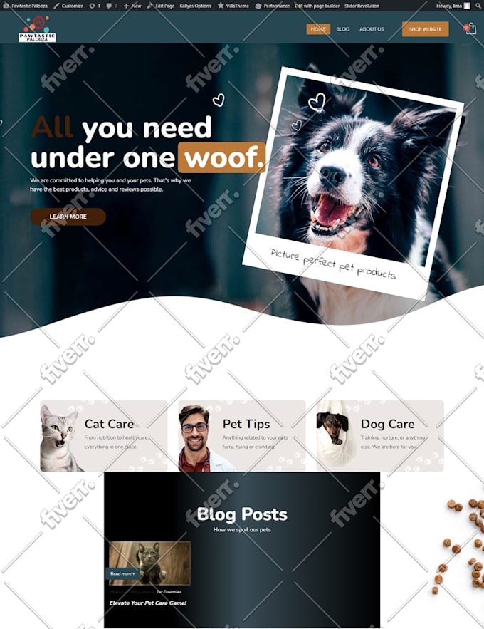 Create automated alidropship aliexpress woocommerce dropshipping