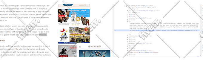 I will build a relevant and high da SEO backlink - Image 4