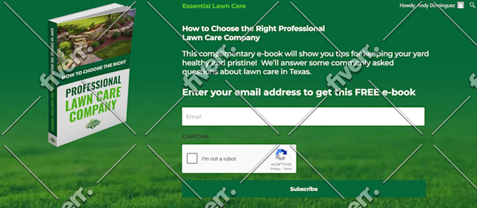 fix wordpres spam issues, form spam issue captcha issue, google recaptcha bots