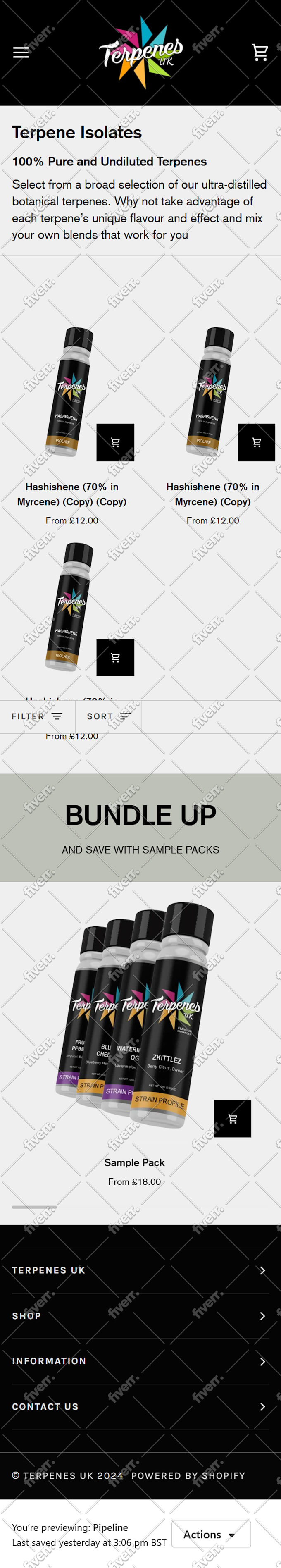 I will build your ecommerce shopify dropshipping website - Image 5