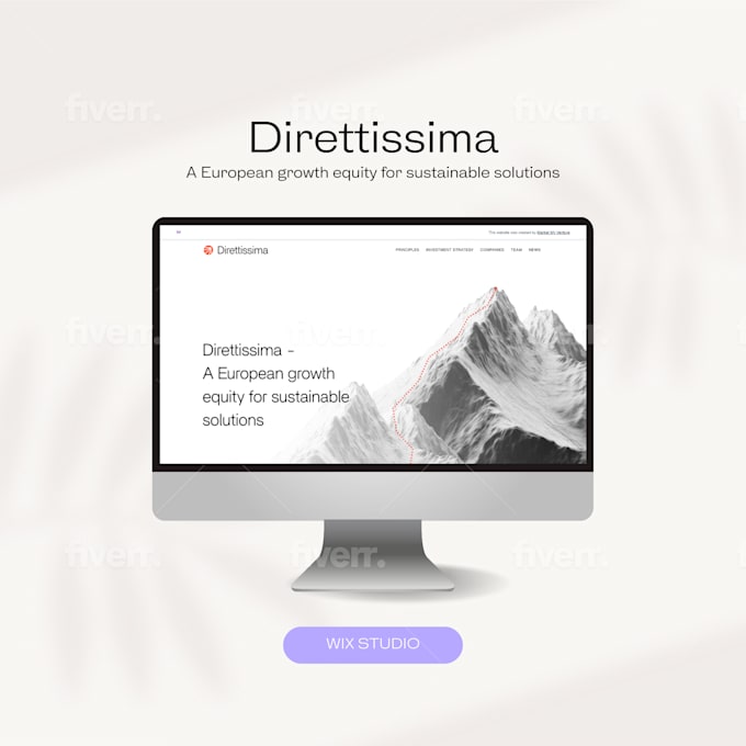 I will design or redesign your wix website - Image 5
