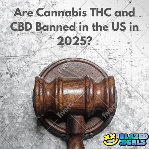 write SEO optimized cannabis, hemp, marijuana, cbd, and thc articles and blogs
