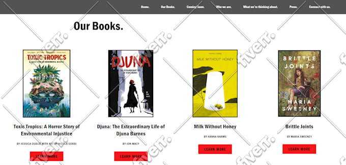 I will design, redesign or update responsive squarespace websites - Image 9