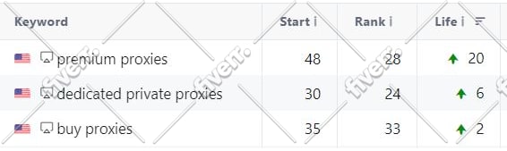 I will bang 1st rank with high quality whitehat monthly SEO service backlinks package - Image 8