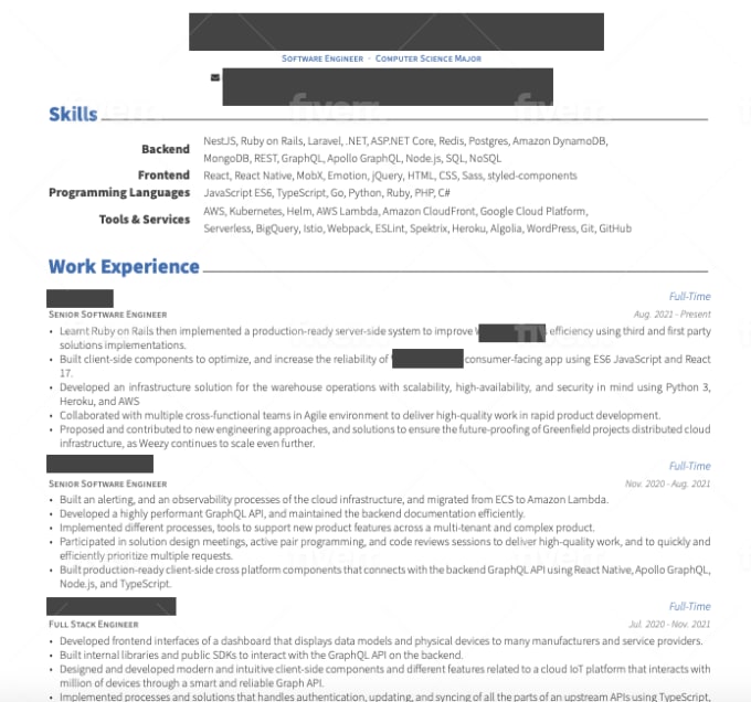 I will write and revamp your software engineer resume or cv - Image 4