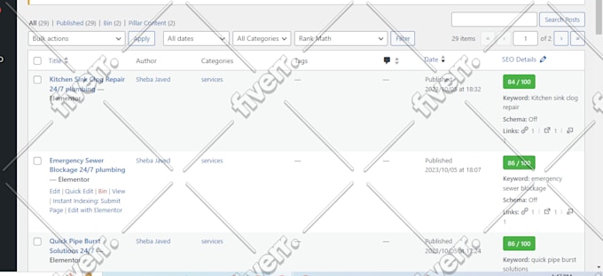 clone or redesign wordpress website