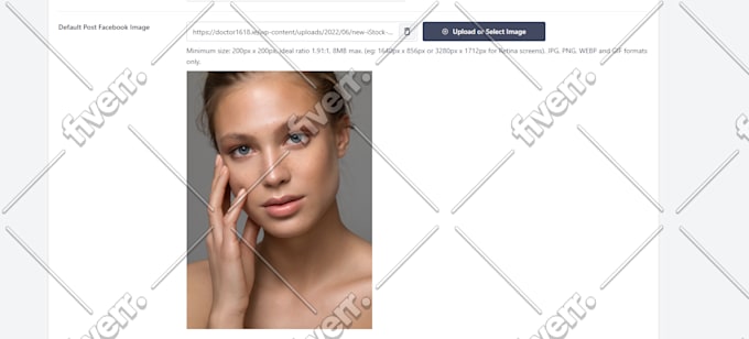 I will do on page SEO optimizations - Image 9