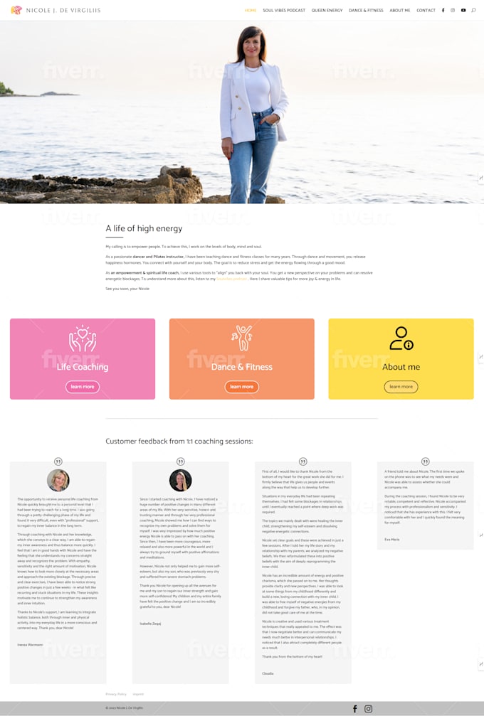 I will design, redesign, revamp or clone wordpress website or blog superfast - Image 3