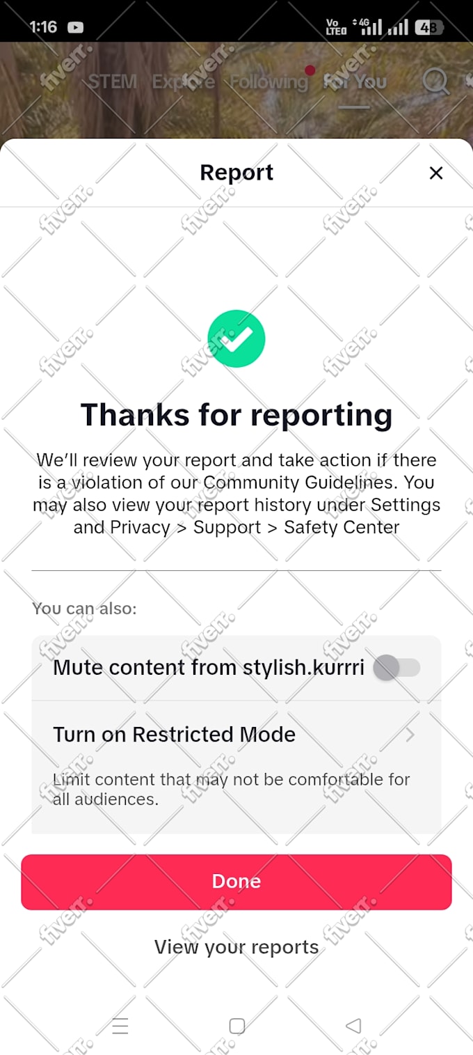 Send dmca takedown notices to google,reddit,ig,onlyfans,fb,yt,telegram