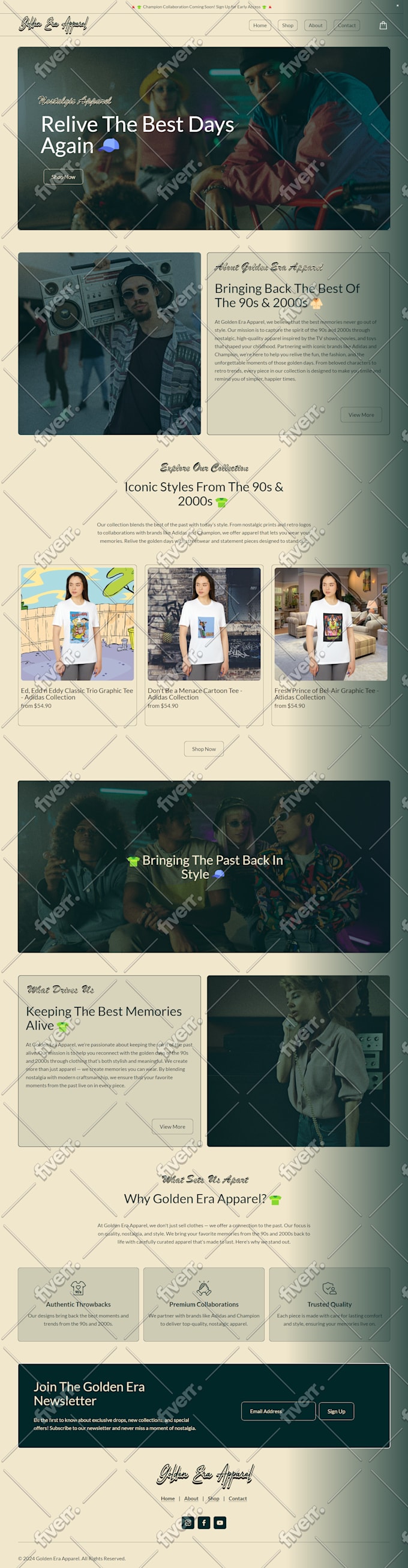 I will do squarespace website design and customization - Image 4