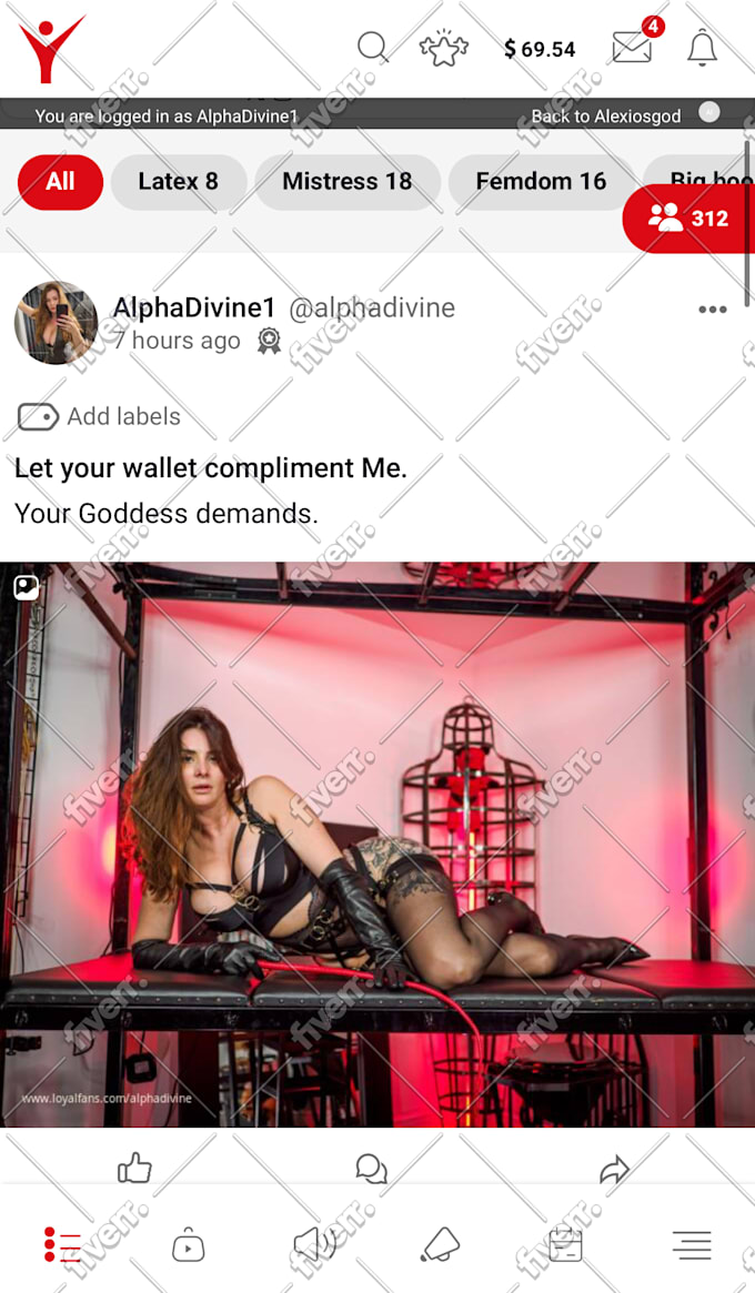 manage your onlyfans and twitter accounts