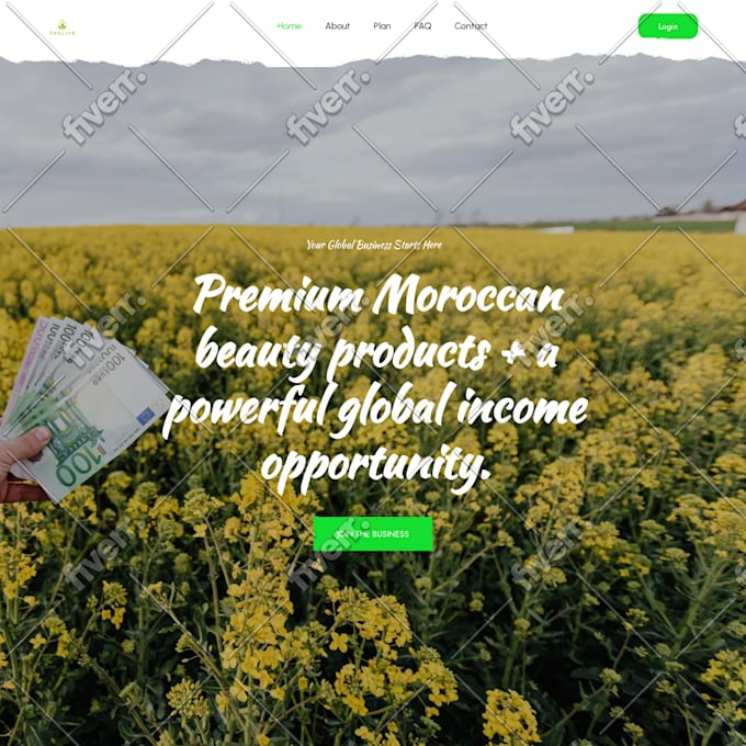 build custom MLM websites including binary, matrix, and unilevel plans