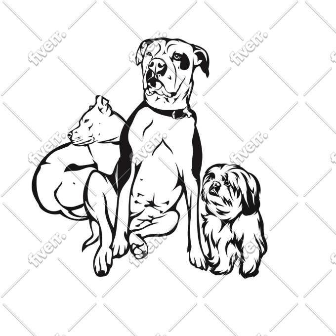 draw your cat dog pet animal in black and white line art